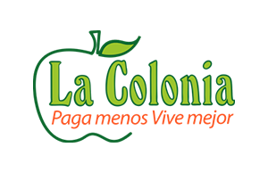 Logo 15